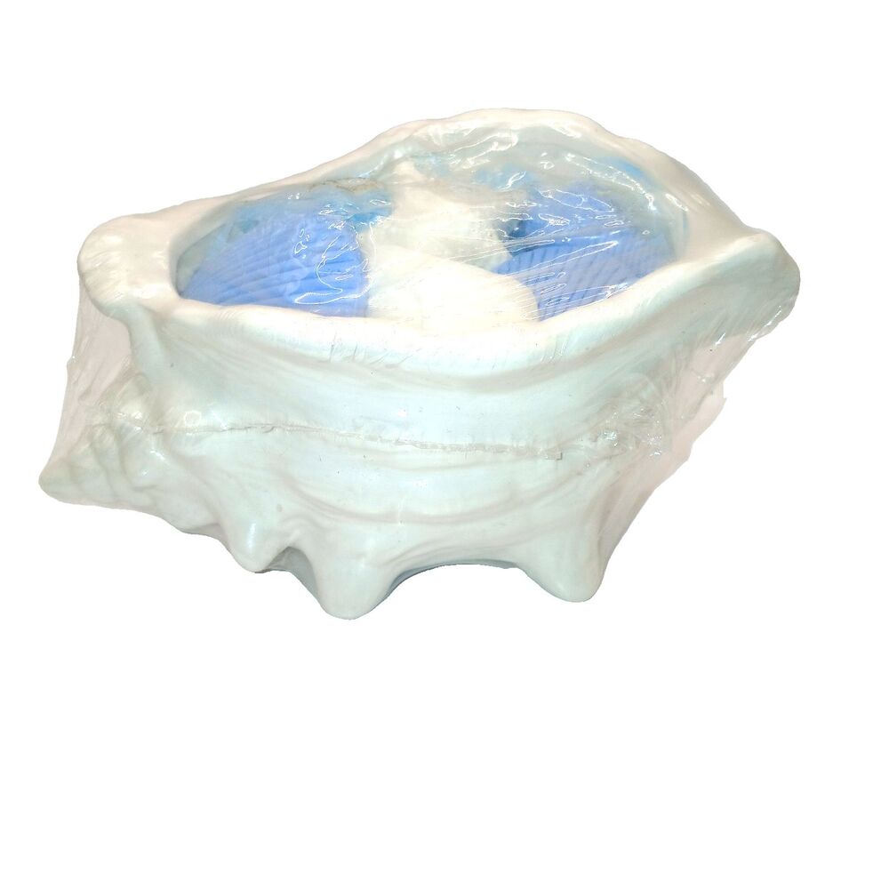 Soap Dish Bathroom Bowl White Conch Glazed Ceramic Shell Planter Coastal NOS